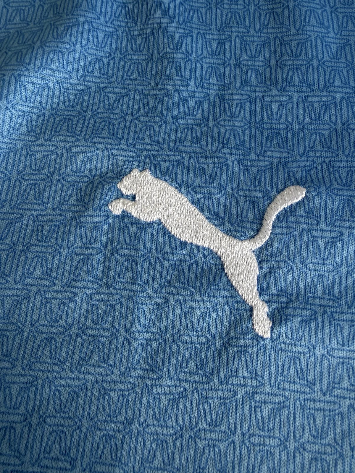 Close-up of the embroidered PUMA cat logo on the chest